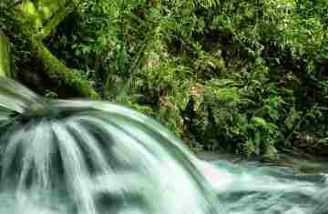  ICMS Ecológico: IAT prorroga prazo para municípios apresentarem relatórios 